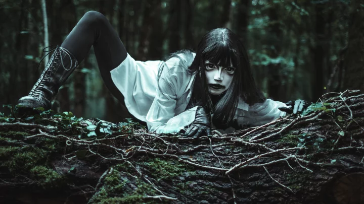 Portrait cinématographique de Onryō : l'esprit rancunier