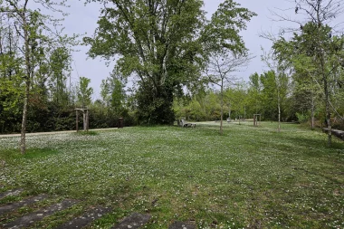 parc hermitage lormont paquerettes.